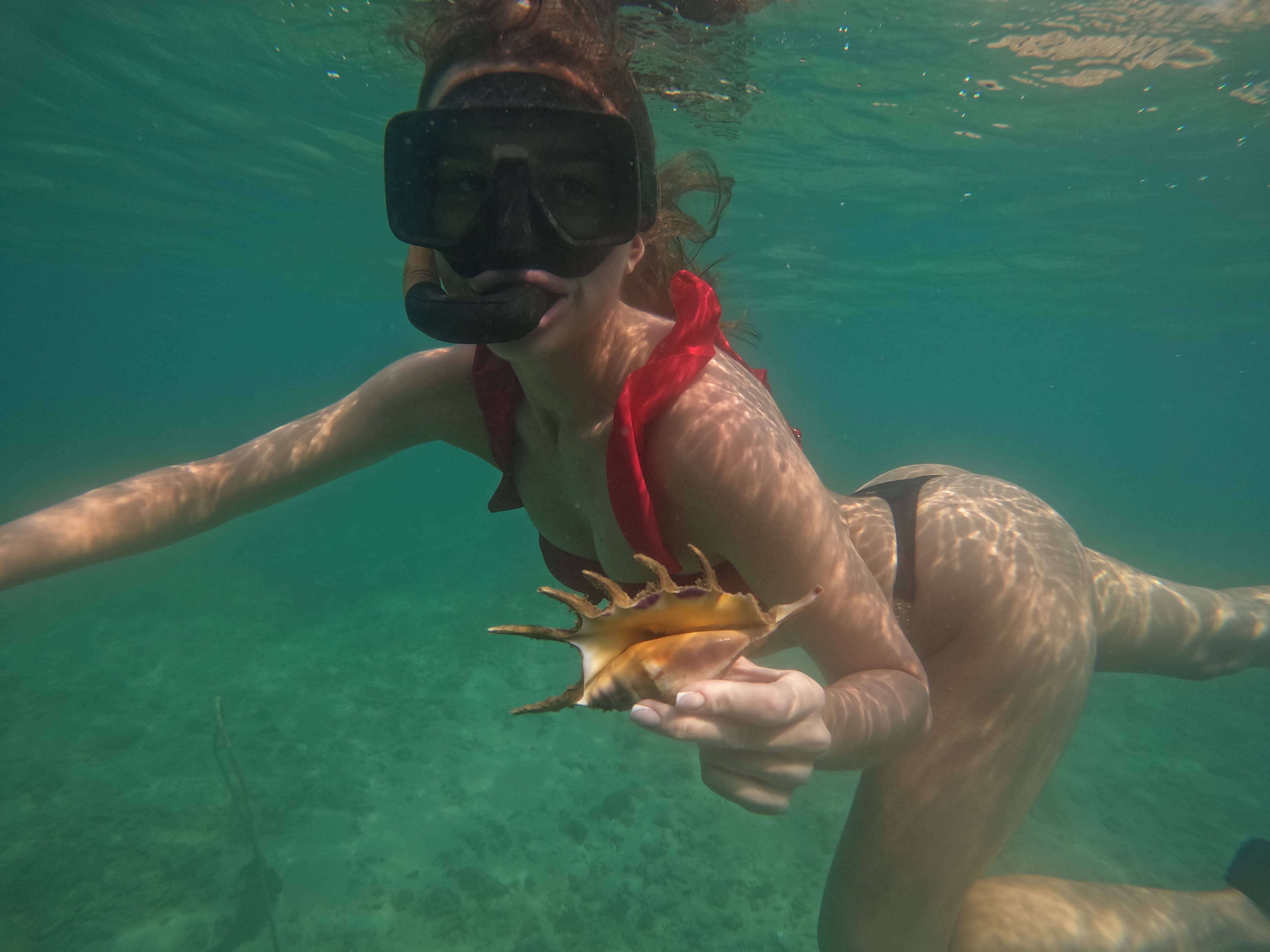 Seashell GoPro Photo Underwater