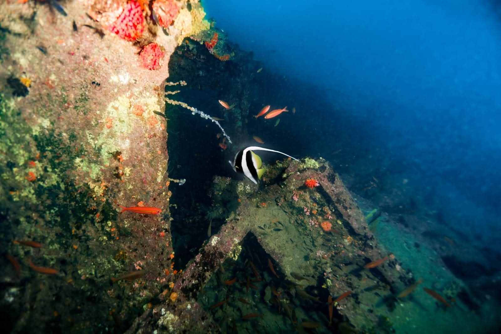 Wreck Diving Adventure Mirissa