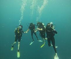 4 Divers Giving OK Signs Mid-Water