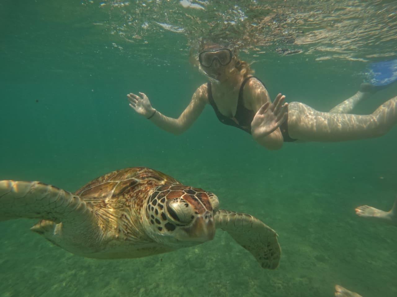 Snorkeling Alongside Sea Turtle