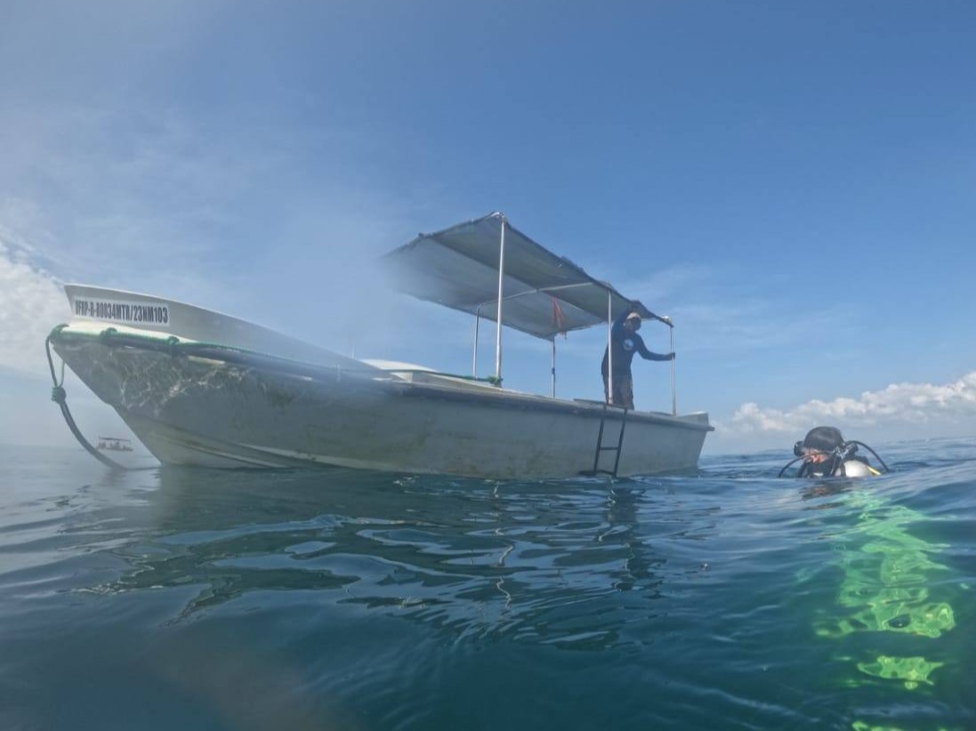 Dive Boat & Surfacing Diver