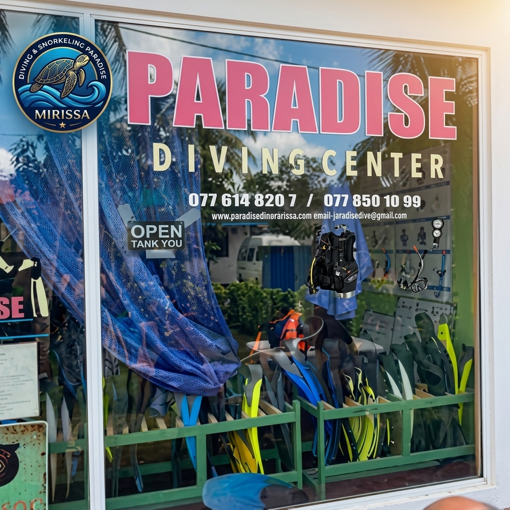 Diving & Snorkeling Paradise Mirissa Dive Center Storefront