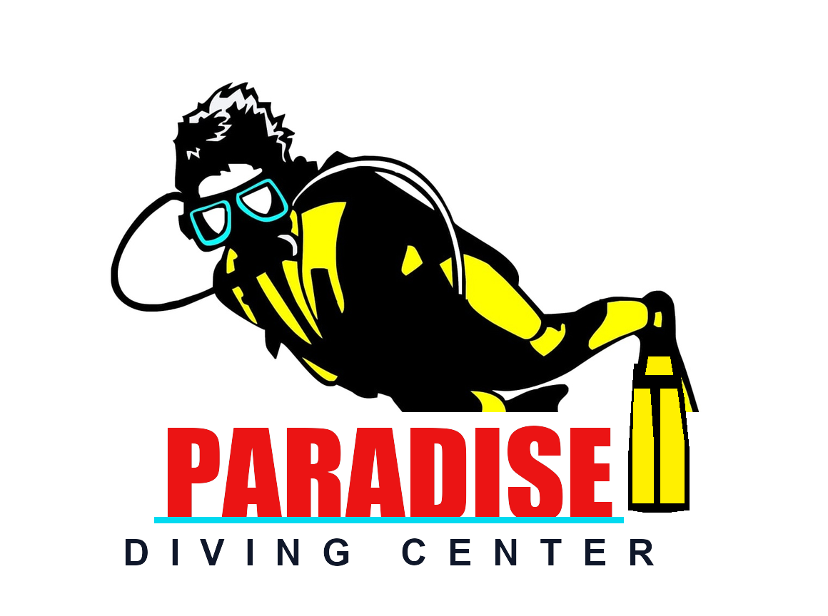 Diving & Snorkeling Paradise Mirissa Logo